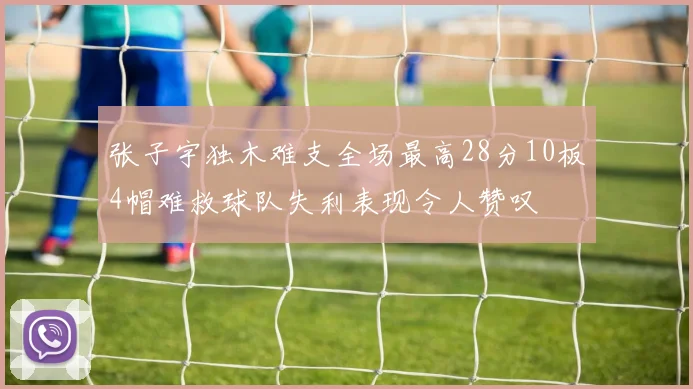 张子宇独木难支全场最高28分10板4帽难救球队失利表现令人赞叹
